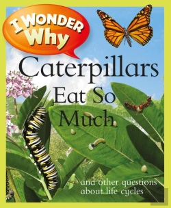 Bertrand.pt - I Wonder Why Caterpillars Eat So Much
