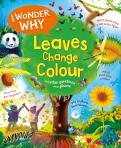 I Wonder Why Leaves Change Colour