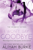 I Won'T Say Goodbye
