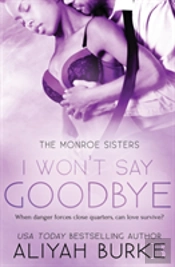 I Won'T Say Goodbye