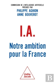 Ia : Notre Ambition Pour La France