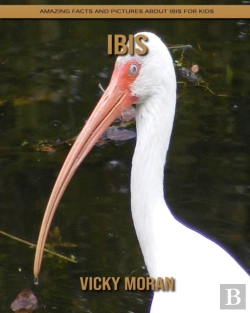Bertrand.pt - Ibis