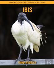 Ibis