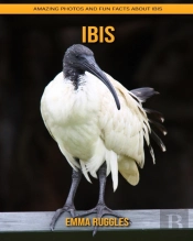 Ibis
