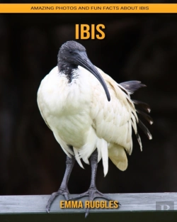 Bertrand.pt - Ibis