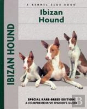 Ibizan Hound