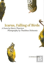 Icarus, Falling Of Birds