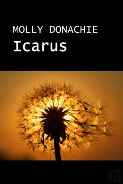 Bertrand.pt - Icarus