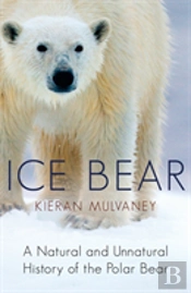 Ice Bear
