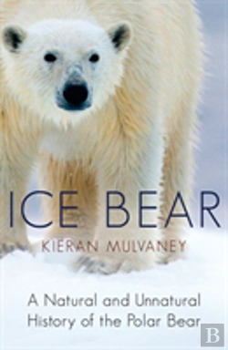 Bertrand.pt - Ice Bear