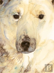 Ice Bear, The - Artist Edition