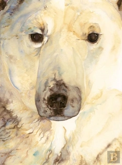 Bertrand.pt - Ice Bear, The - Artist Edition