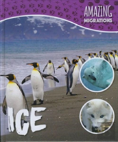 Ice