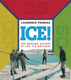 Bertrand.pt - Ice! The Amazing History
