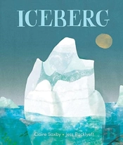 Iceberg