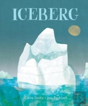 Iceberg