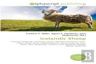 Icelandic Sheep