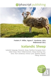 Icelandic Sheep