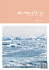 Icetribes Of Birds