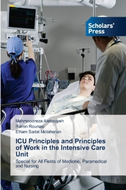 Bertrand.pt - Icu Principles And Principles Of Work In The Intensive Care Unit