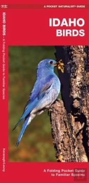 Idaho Birds
