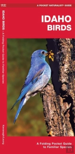 Bertrand.pt - Idaho Birds