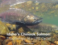 Idaho'S Chinook Salmon