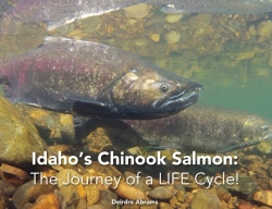 Bertrand.pt - Idaho'S Chinook Salmon