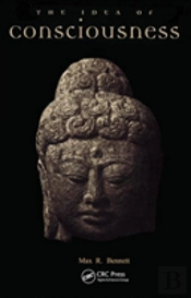 Idea Of Consciousness
