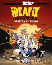 Ideafix Y Los Irreductibles, 5. Ideafix Y El Druida