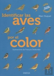 Identificar Las Aves Por El Color
