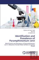 Identification And Prevalence Of Paramphistomum Cervi