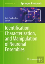 Identification, Characterization, And Manipulation Of Neuronal Ensembles