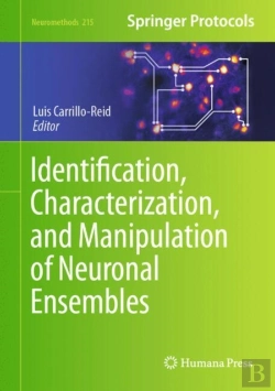Bertrand.pt - Identification, Characterization, And Manipulation Of Neuronal Ensembles
