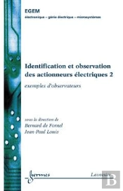 Identification Et Observation Des Actionneurs Electriques 2 Exemples D'Observateurs Traite Egem Ser