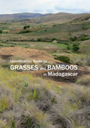 Identification Guide To Grasses And Bamboos In Madagascar