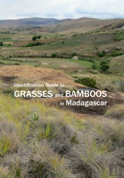 Bertrand.pt - Identification Guide To Grasses And Bamboos In Madagascar