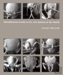 Identification Guide To The Ant Genera Of The World