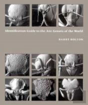 Identification Guide To The Ant Genera Of The World