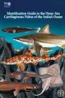 Identification Guide To The Deep-Sea Cartilaginous Fishes Of The Indian Ocean