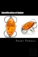 Identification Of Amber