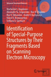 Identification Of Special-Purpose Structures By Their Fragments Based On Scanning Electron Microscopy