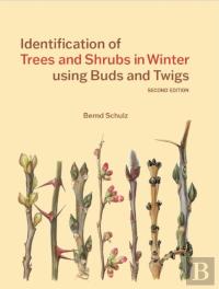 Identification Of Trees And Shrubs In Winter Using Buds And Twigs