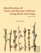 Identification Of Trees And Shrubs In Winter Using Buds And Twigs