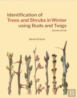 Bertrand.pt - Identification Of Trees And Shrubs In Winter Using Buds And Twigs
