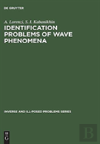 Identification Problems Of Wave Phenomena