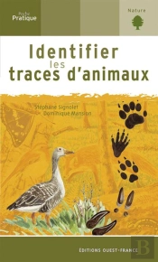 Identifier Les Traces D'Animaux