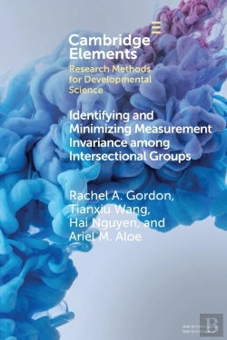 Bertrand.pt - Identifying And Minimizing Measurement Invariance Among Intersectional Groups
