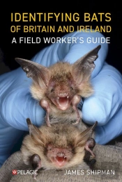 Identifying Bats Of Britain And Ireland