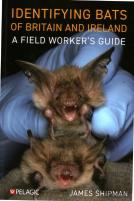 Identifying Bats Of Britain And Ireland